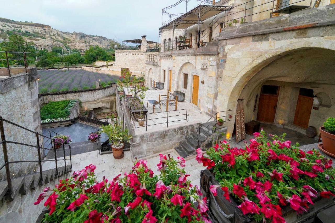 Design Cave Hotel